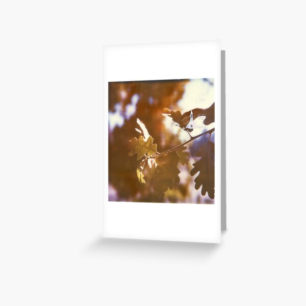 Item preview, If summer were a memory designed and sold by J. M. Golding.