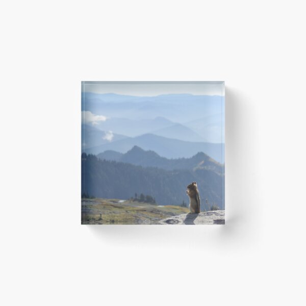 Item preview, Chipmunk Enjoying the View designed and sold by Zach Auerbach.