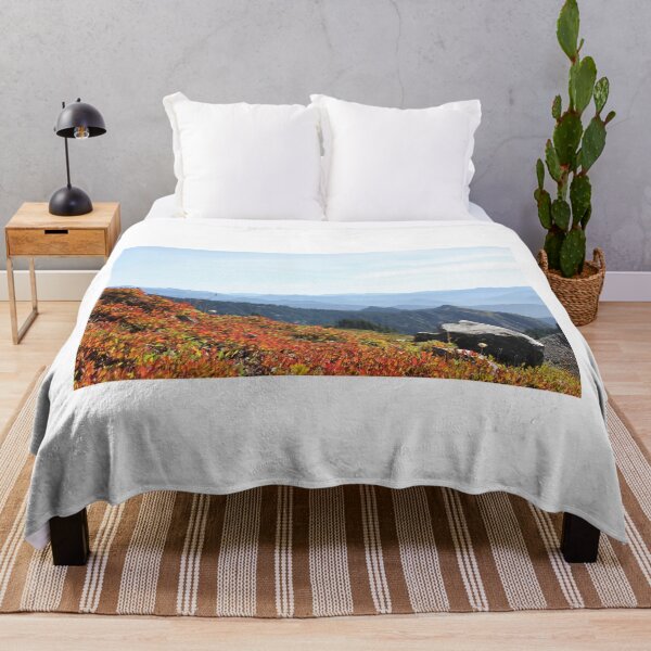 Artikelvorschau, Herbstfarben in der Nähe von Mount Rainier entworfen und verkauft von Zach Auerbach.