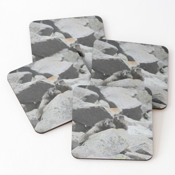 Item preview, Concerned Marmots Laying on the Rocks designed and sold by Zach Auerbach.