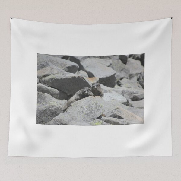 Item preview, Concerned Marmots Laying on the Rocks designed and sold by Zach Auerbach.