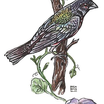 Artwork thumbnail, Painted Bunting by crafty-fox