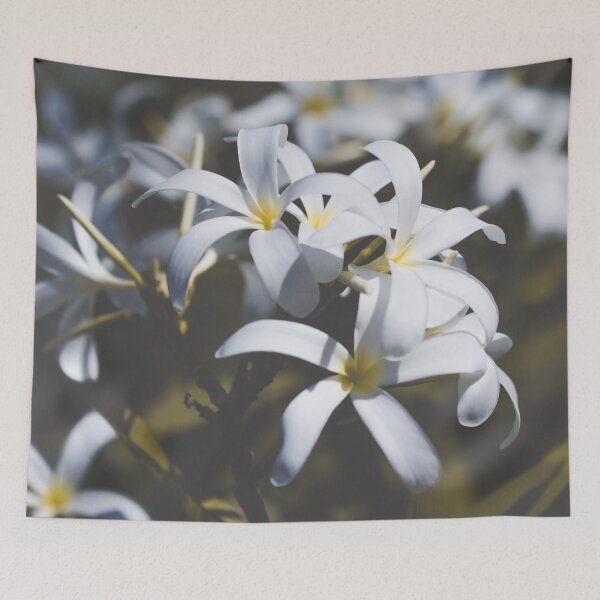 Item preview, Frangipangi designed and sold by Nicole Bleck.