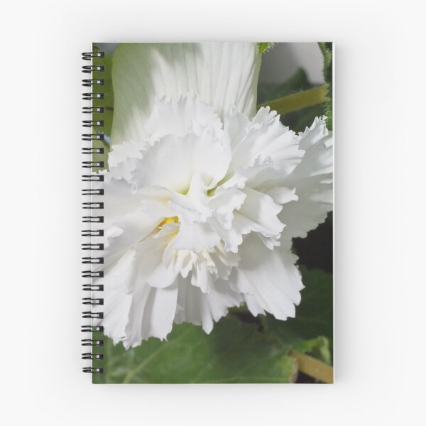 Item preview, Fringed Begonia Blossom designed and sold by Sandra Foster.