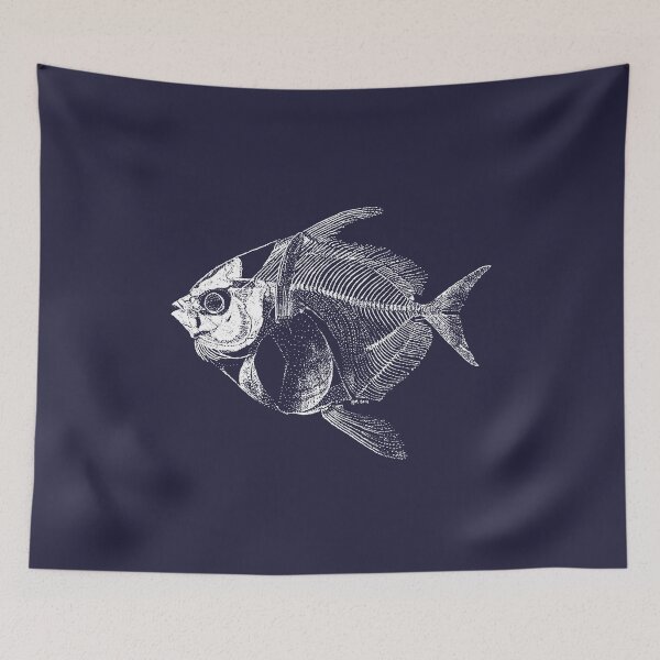 Item preview, Opah (Lampris guttatus) skeleton designed and sold by Lampichthys.