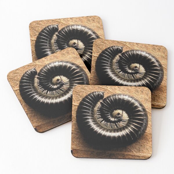 Item preview, Millipede designed and sold by theyellowsnail.