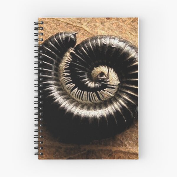 Item preview, Millipede designed and sold by theyellowsnail.