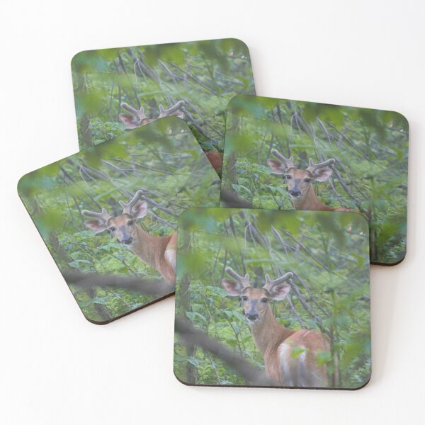 Item preview, Deer at Shenandoah National Park designed and sold by Zach Auerbach.