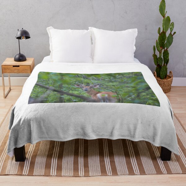 Item preview, Deer at Shenandoah National Park designed and sold by Zach Auerbach.