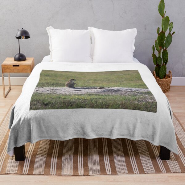 Item preview, Prairie Dogs at the Badlands designed and sold by Zach Auerbach.