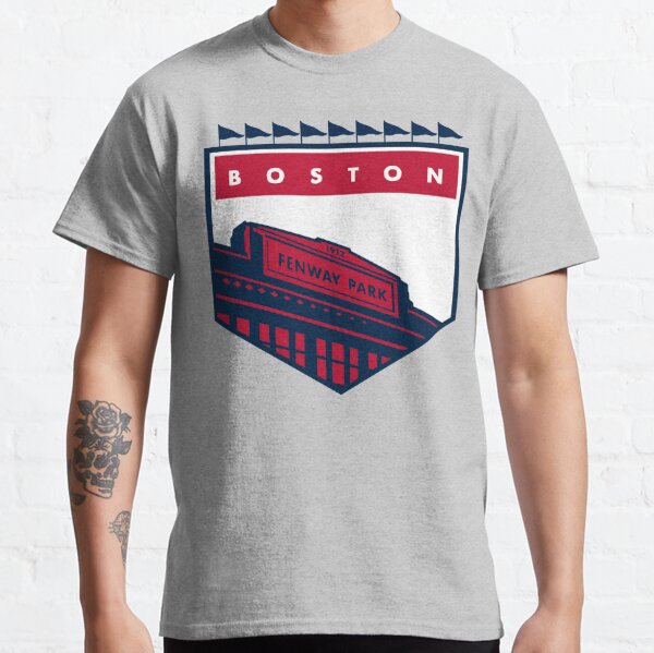 Boston Red Sox T Shirt Men Large Adult Gray Fenway Park Retro MLB Baseball  USA