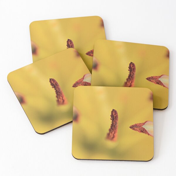 Item preview, Stamen designed and sold by Yannik Hay.