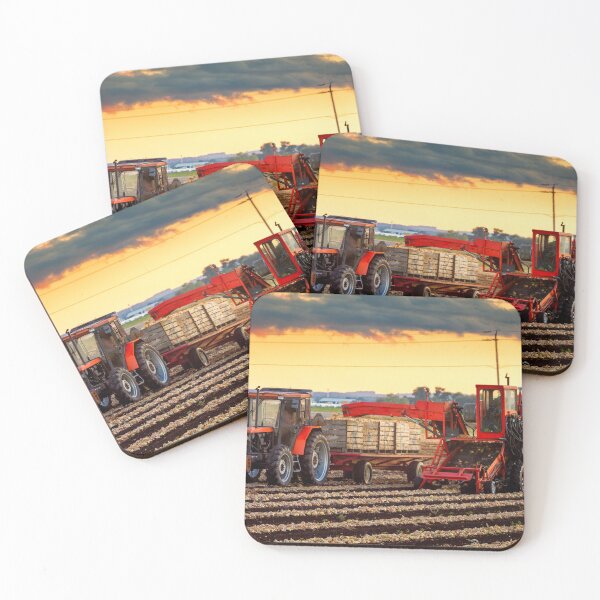 Item preview, Fall Harvest Onion Crops designed and sold by Robert Alsop.