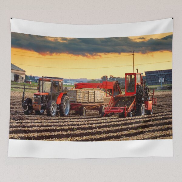 Item preview, Fall Harvest Onion Crops designed and sold by Robert Alsop.