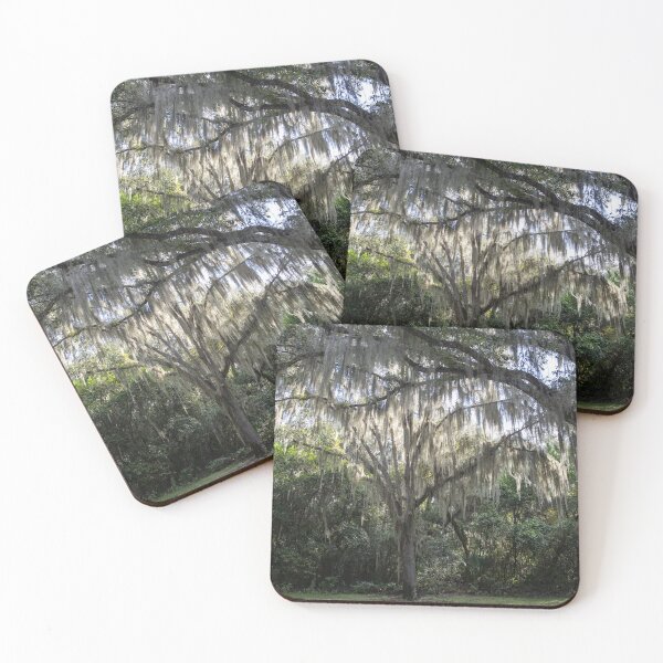 Item preview, Trees and Spanish Moss - Fort Caroline, FL designed and sold by Lesswired.