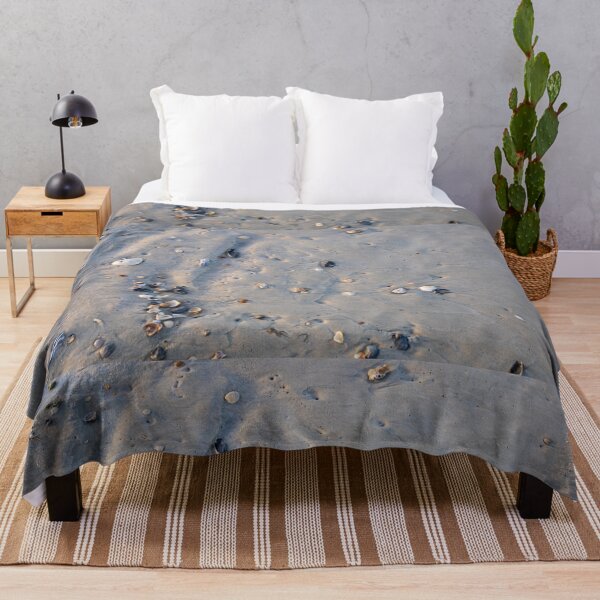 Item preview, Shells on the beach at St. Augustine, Florida designed and sold by Lesswired.