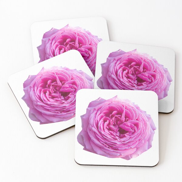 Item preview, pink rose designed and sold by HAKKI ARSLAN.