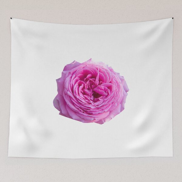 Item preview, pink rose designed and sold by HAKKI ARSLAN.