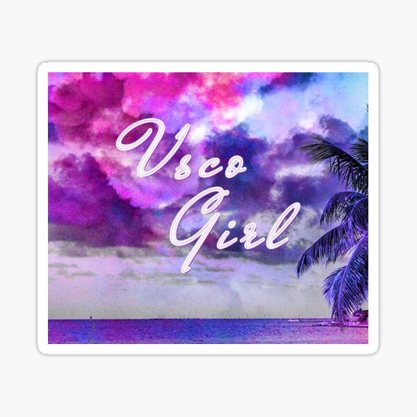 Aesthetic VSCO-GIRL sticker pack Sticker for Sale by HibaArts