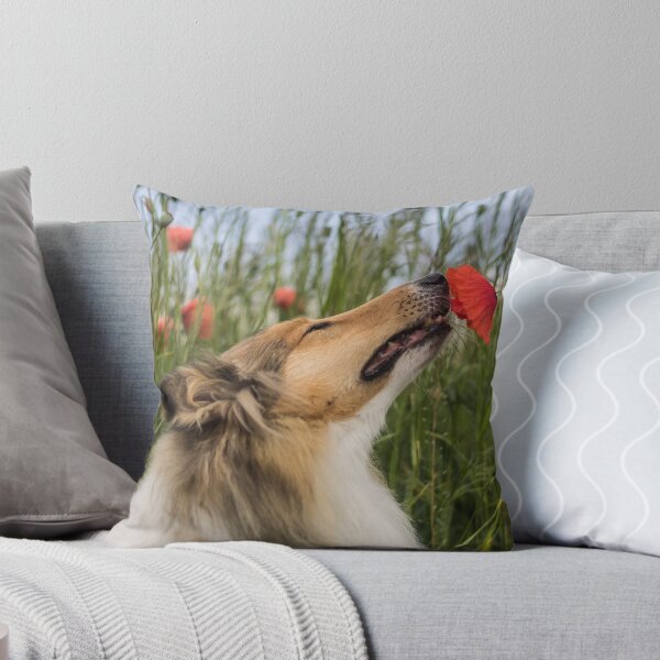 Item preview, Cute rough collie sniffing to a poppy designed and sold by CrunchyCableStudio.