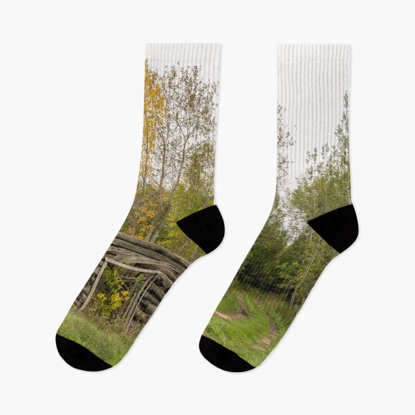 Item preview, Reclaimed by Nature - Abandoned Log Hut in the Woods designed and sold by Georgia Mizuleva.