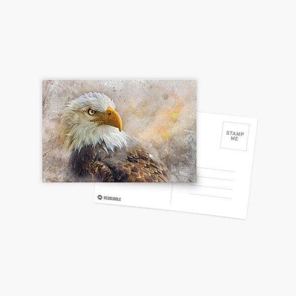 Item preview, The Eagle's Stare designed and sold by Brian Tarr.
