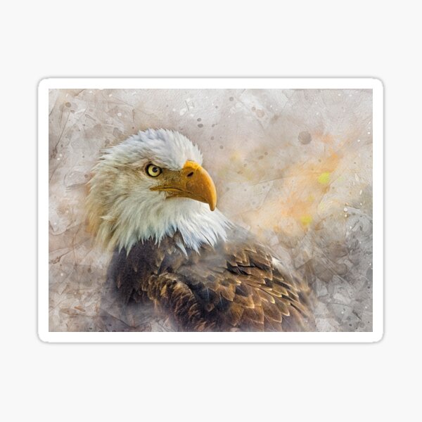 Bald Eagle Head, Regal Eagle Print, Eagle Fine Art, America's National  Bird, Bald Eagle Metal, Bald Eagle Head Shot