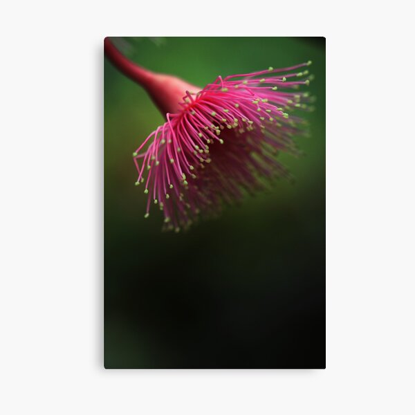 Abyss Canvas Print