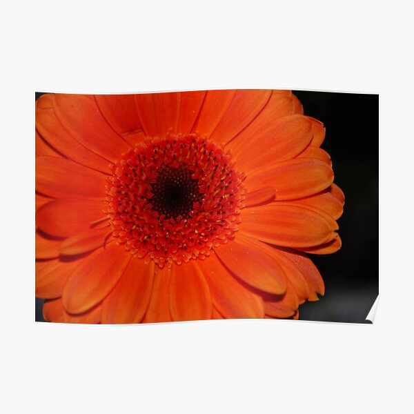 Orange Glow Poster