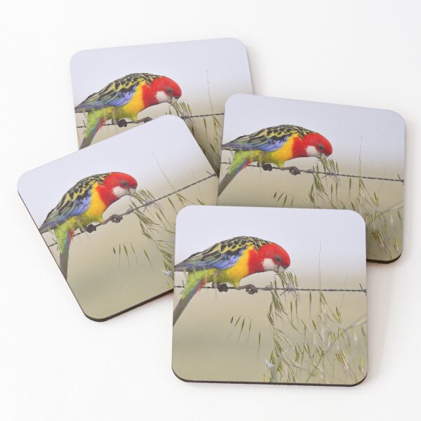 Item preview, Eastern  Rosella feeding designed and sold by Seesee.