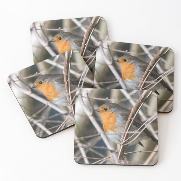 Item preview, Robin Christmas Card designed and sold by Adrian Rowley.