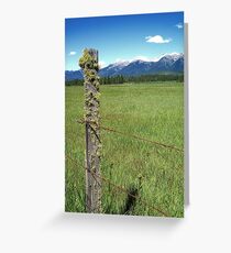Swan Valley Greeting Card