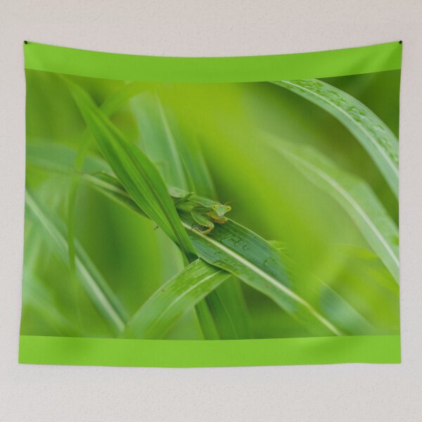 Item preview, Smiling Praying Mantis designed and sold by mljdwhite.
