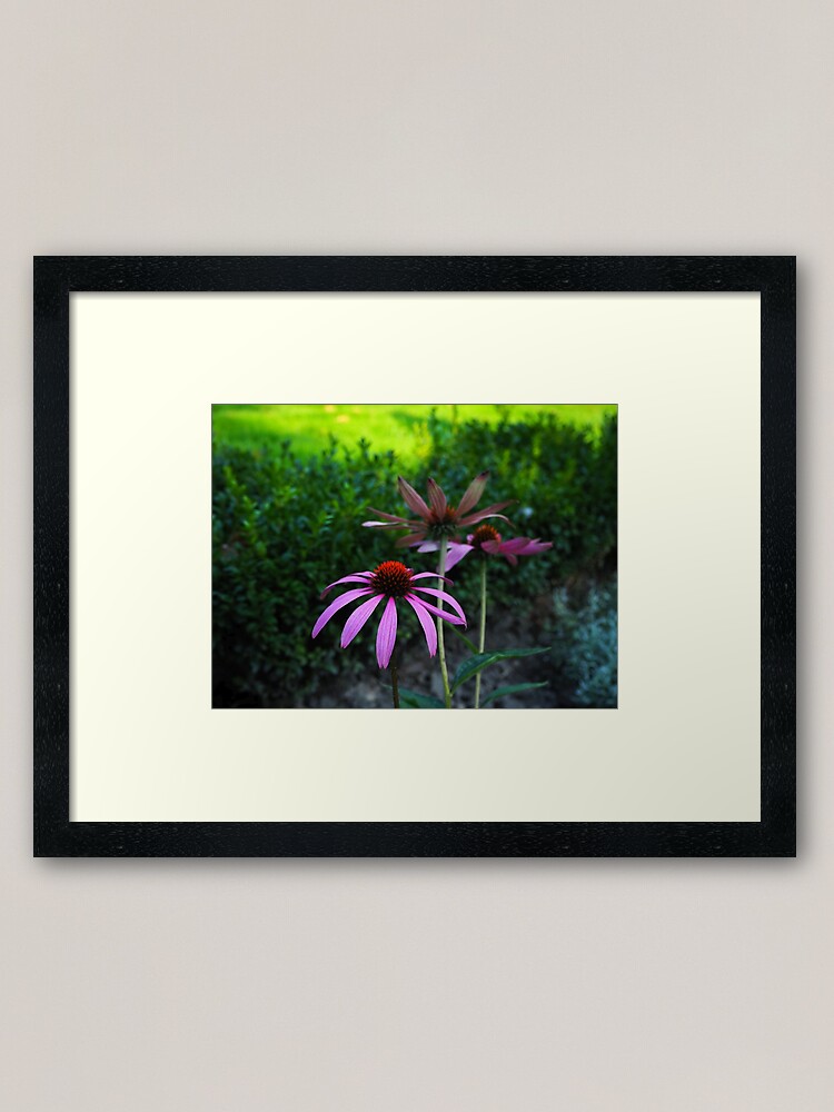 Alternate view of Purple flowers make me happy! Framed Art Print