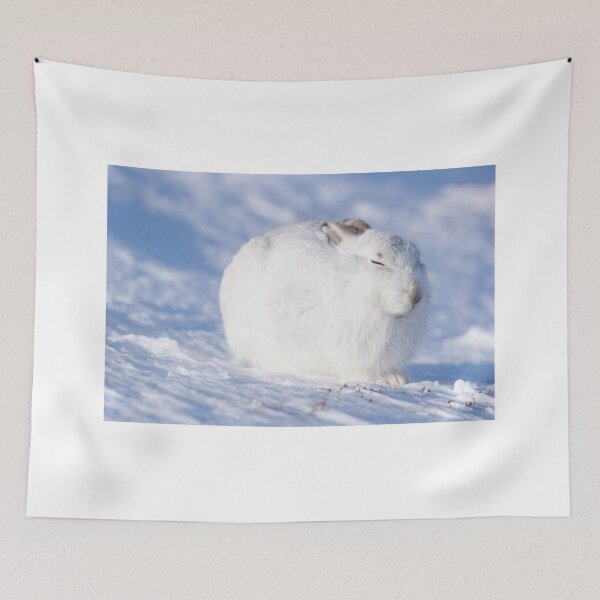 Item preview, The beast designed and sold by chanonry.