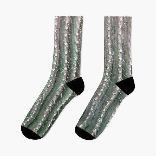 Item preview, CACTUS NEEDLES PATTERN, closeup green succulent designed and sold by YLArt.