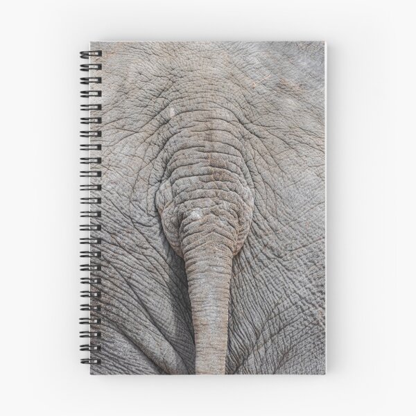 Item preview, Indian elephant tail (Elephas maximus) designed and sold by Martin Leber.