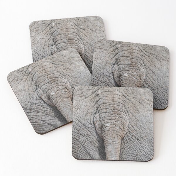 Item preview, Indian elephant tail (Elephas maximus) designed and sold by Martin Leber.