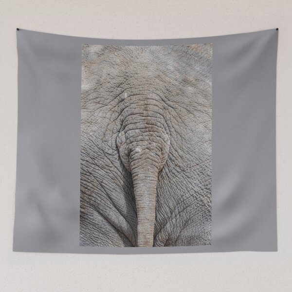 Item preview, Indian elephant tail (Elephas maximus) designed and sold by Martin Leber.