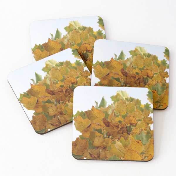 Item preview, Autumn closing in designed and sold by cuprum.