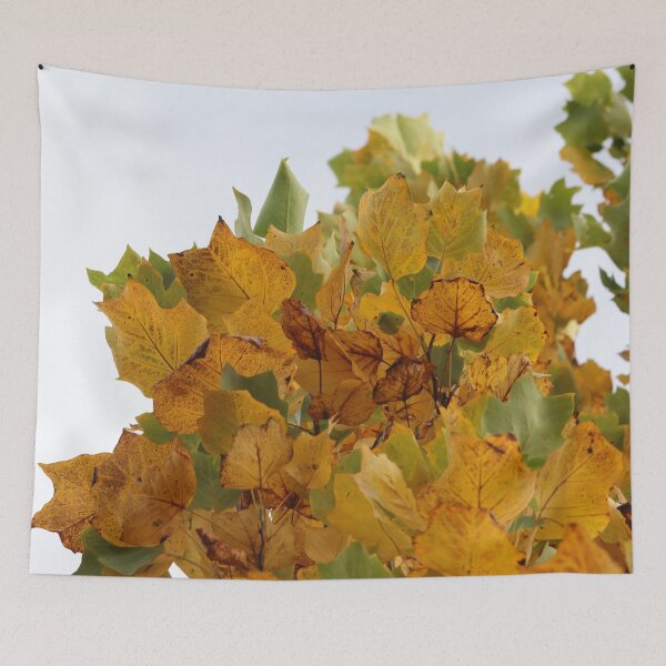 Item preview, Autumn closing in designed and sold by cuprum.