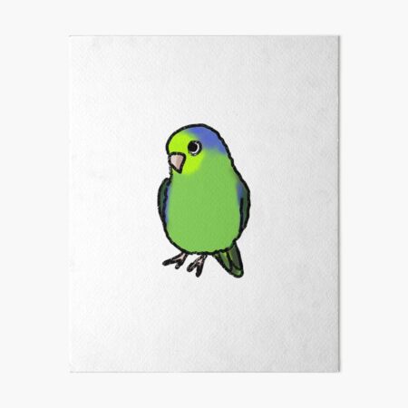 AFRICAN GREY surfing bird parrot art print 8x10 animals impressionism