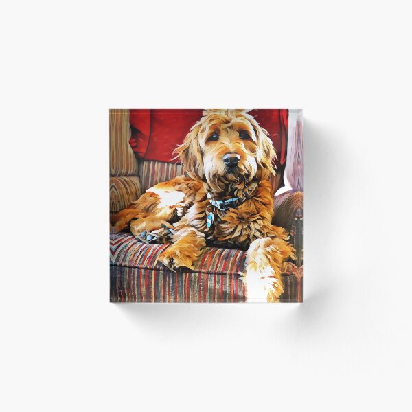 Puppy Dog Chair Warmer Acrylic Block
