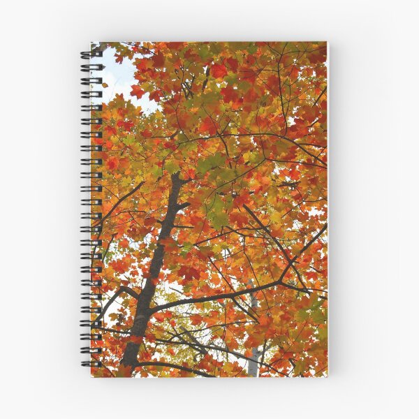 Item preview, Fall Leaves designed and sold by priceling.