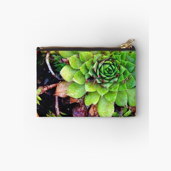 Aperçu de l'œuvre Hen and Chicks créée et vendue par Karen Rubeiz.