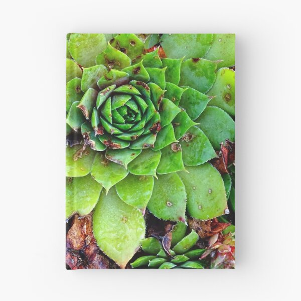 Item preview, Hen and Chicks designed and sold by Karen  Rubeiz.