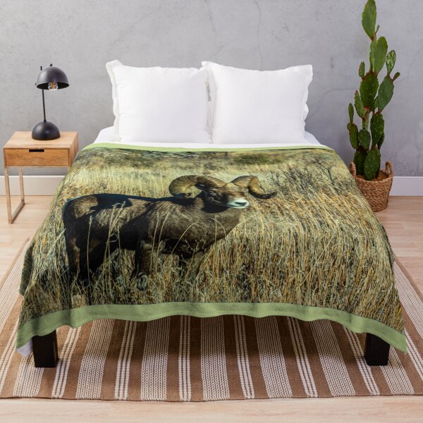 Item preview, Rocky Mountain Bighorn Sheep designed and sold by Bryan Spellman.