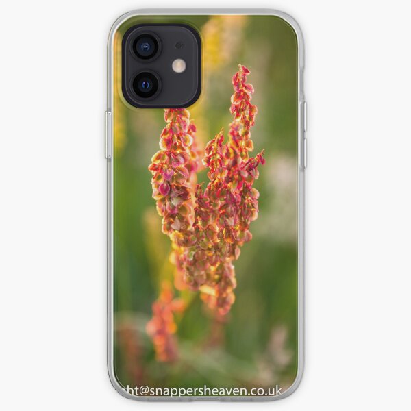 Wild pink flowers from Meadow flower collection iPhone Soft Case