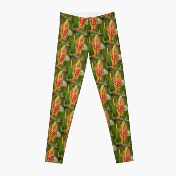 Wild pink flowers from Meadow flower collection Leggings