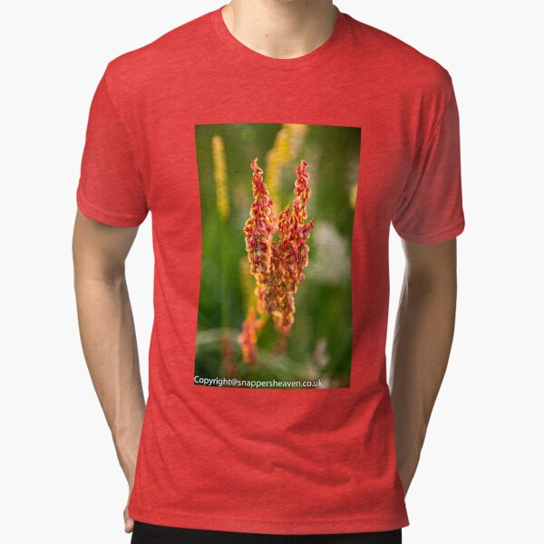 Wild pink flowers from Meadow flower collection Tri-blend T-Shirt